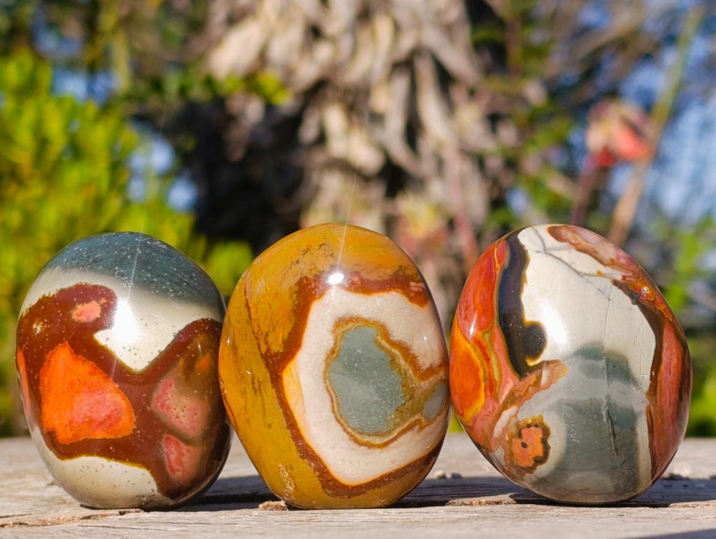 Polished Polychrome Jasper Palm Stones x 24 From NW Coast, Madagascar - Toprock Gemstones and Minerals 