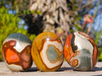 Polished Polychrome Jasper Palm Stones x 24 From NW Coast, Madagascar - Toprock Gemstones and Minerals 
