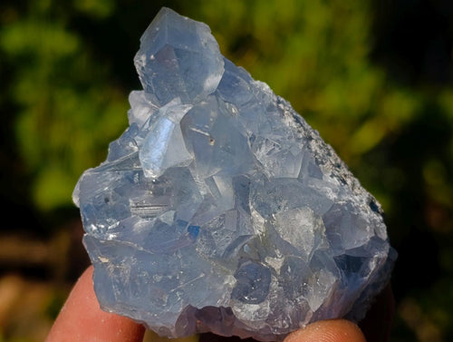 Natural Mini Blue Celestite Specimens x 45 From Sakoany, Madagascar - Toprock Gemstones and Minerals 