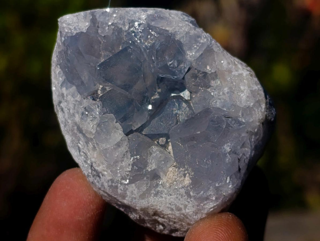 Natural Mini Blue Celestite Specimens x 45 From Sakoany, Madagascar - Toprock Gemstones and Minerals 