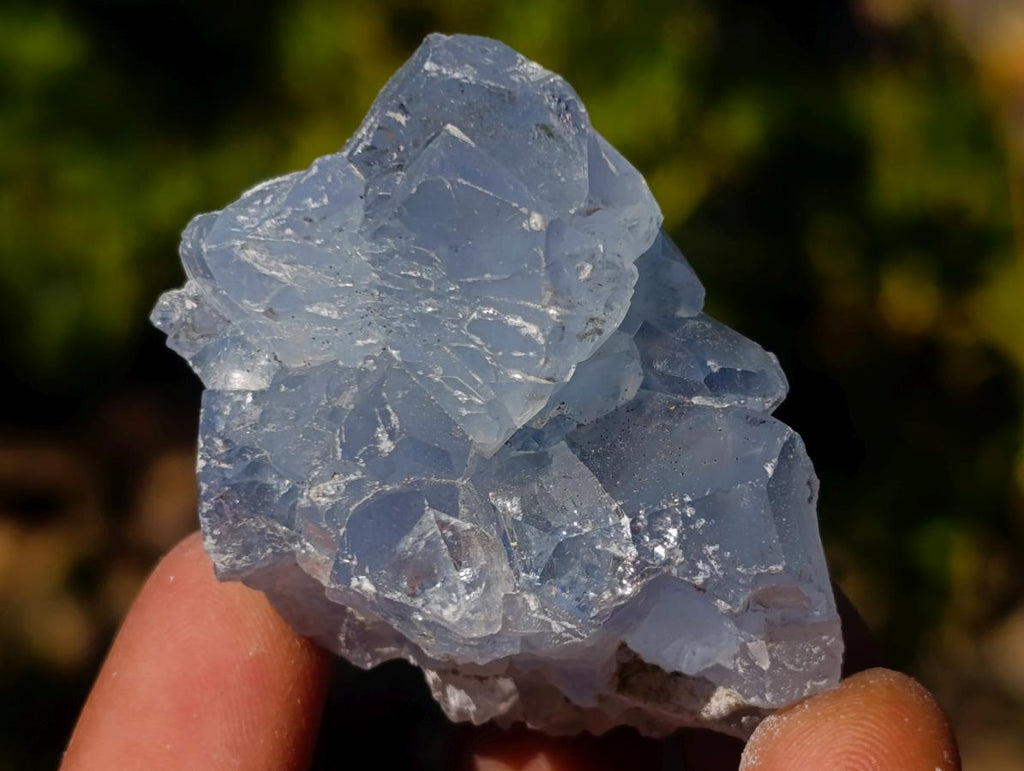 Natural Mini Blue Celestite Specimens x 45 From Sakoany, Madagascar - Toprock Gemstones and Minerals 