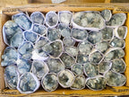 Natural Mini Blue Celestite Specimens x 45 From Sakoany, Madagascar - Toprock Gemstones and Minerals 