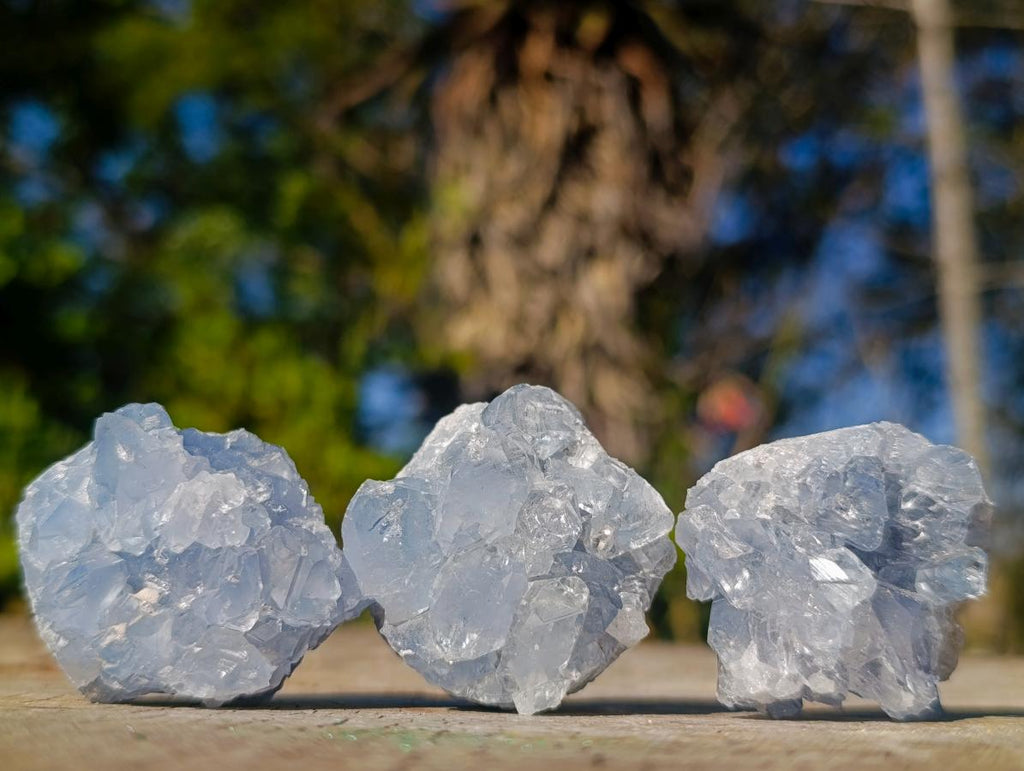Natural Mini Blue Celestite Specimens x 45 From Sakoany, Madagascar - Toprock Gemstones and Minerals 