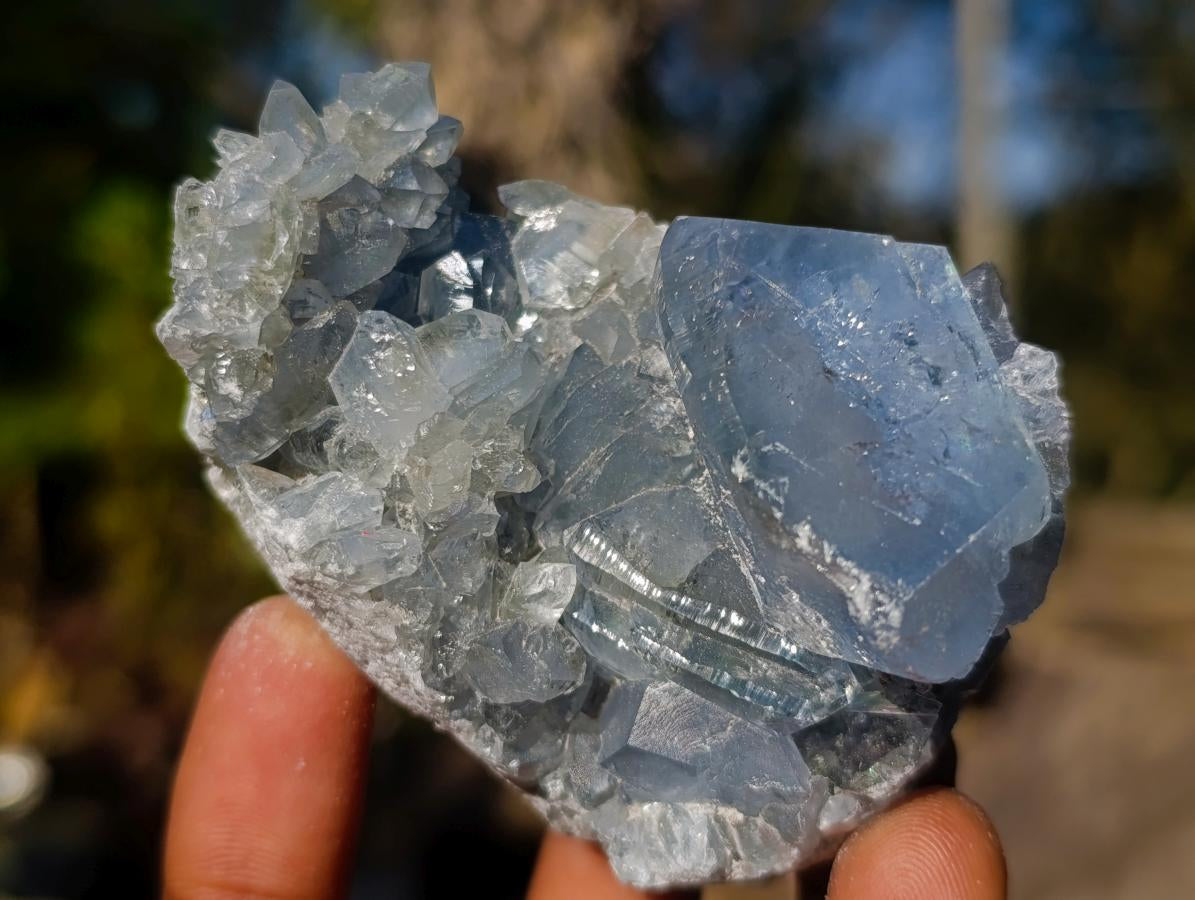 Natural Mini Blue Celestite Specimens x 45 From Sakoany, Madagascar - Toprock Gemstones and Minerals 
