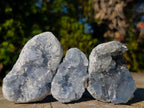 Natural Mini Blue Celestite Specimens x 45 From Sakoany, Madagascar - Toprock Gemstones and Minerals 