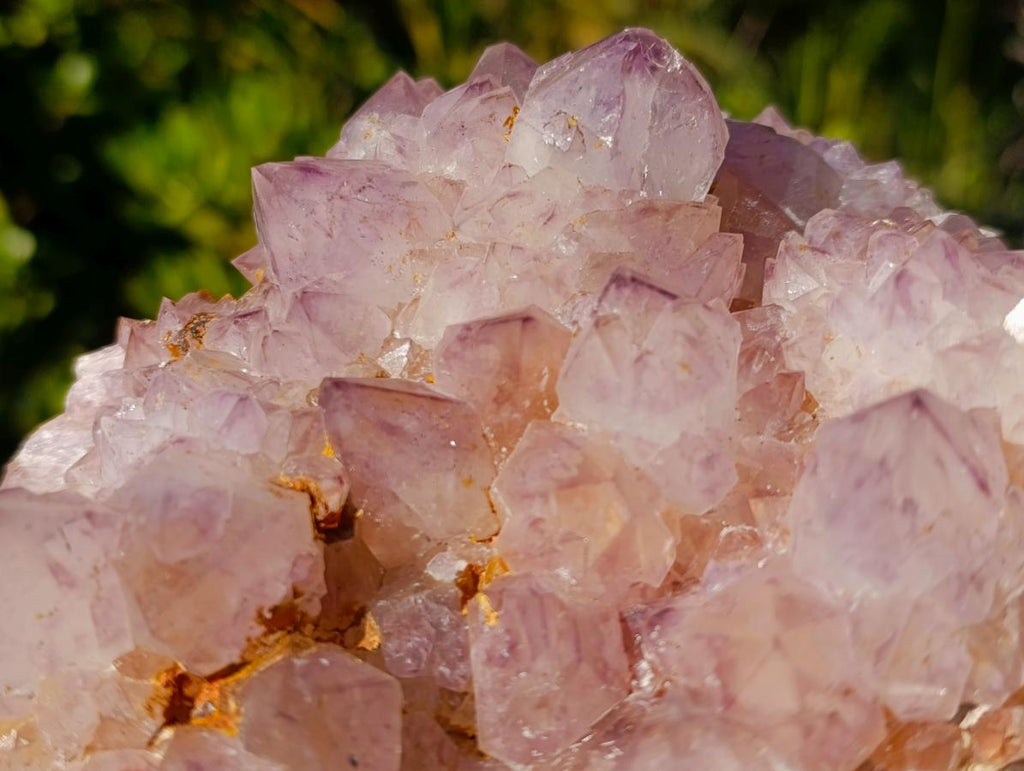 Natural Spirit Amethyst Cluster with Cactus Flower Formations x 2 From Boekenhouthoek, South Africa - Toprock Gemstones and Minerals 