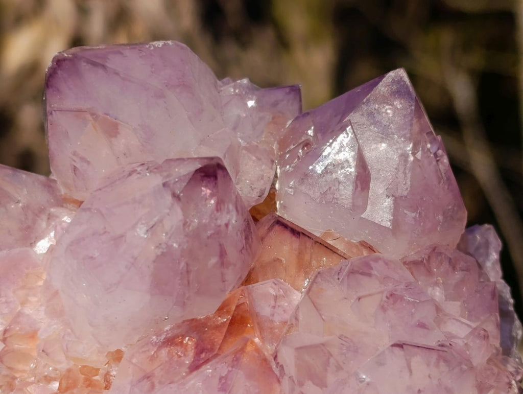 Natural Spirit Amethyst Cluster with Cactus Flower Formations x 2 From Boekenhouthoek, South Africa - Toprock Gemstones and Minerals 