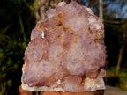 Natural Spirit Amethyst Cluster with Cactus Flower Formations x 2 From Boekenhouthoek, South Africa - Toprock Gemstones and Minerals 