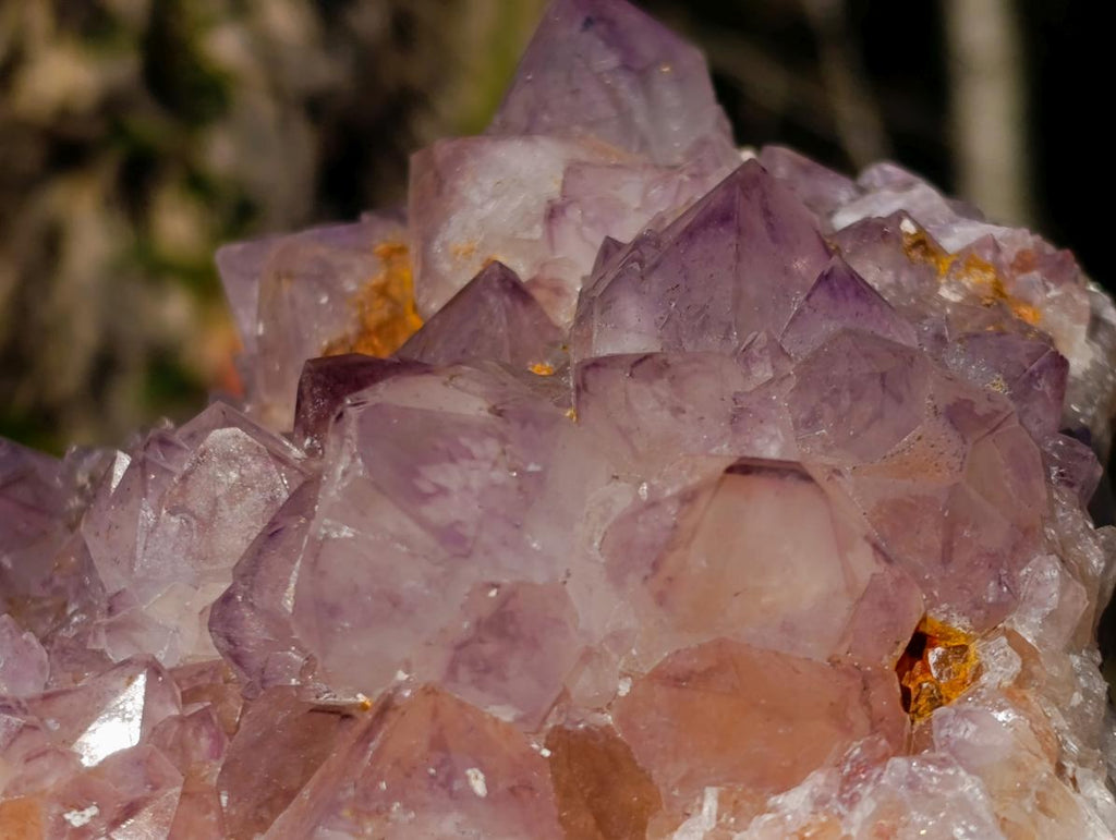 Natural Spirit Amethyst Cluster with Cactus Flower Formations x 2 From Boekenhouthoek, South Africa - Toprock Gemstones and Minerals 