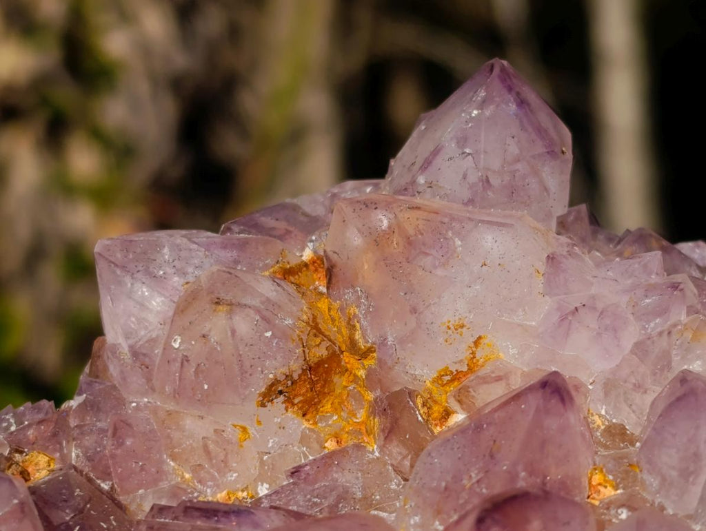 Natural Spirit Amethyst Cluster with Cactus Flower Formations x 2 From Boekenhouthoek, South Africa - Toprock Gemstones and Minerals 
