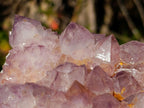 Natural Spirit Amethyst Cluster with Cactus Flower Formations x 2 From Boekenhouthoek, South Africa - Toprock Gemstones and Minerals 