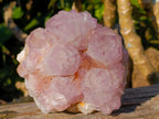 Natural Spirit Amethyst Cluster with Cactus Flower Formations x 2 From Boekenhouthoek, South Africa - Toprock Gemstones and Minerals 