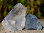 Natural Blue Celestite Single Crystals x 20 From Sakoany, Madagascar - Toprock Gemstones and Minerals 