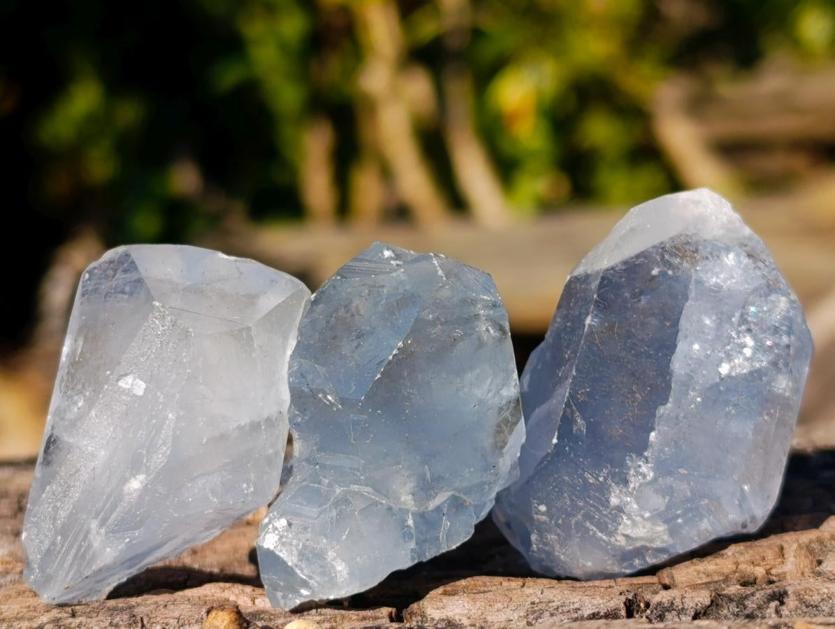Natural Blue Celestite Single Crystals x 20 From Sakoany, Madagascar - Toprock Gemstones and Minerals 