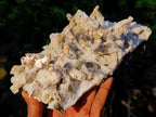 Natural Large Drusy Quartz Coated Spearhead Calcite Pseudomorph Cluster x 1 From Lesotho - Toprock Gemstones and Minerals 