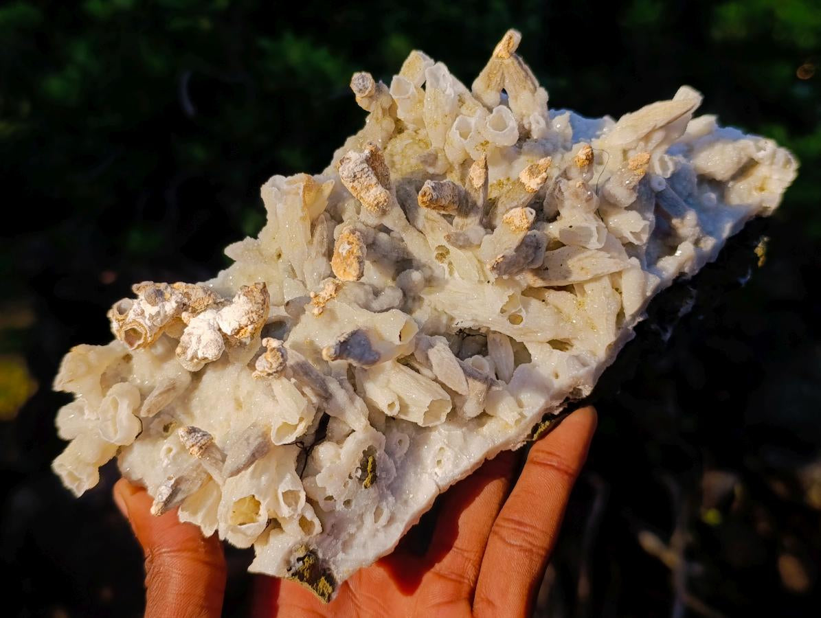 Natural Large Drusy Quartz Coated Spearhead Calcite Pseudomorph Cluster x 1 From Lesotho - Toprock Gemstones and Minerals 