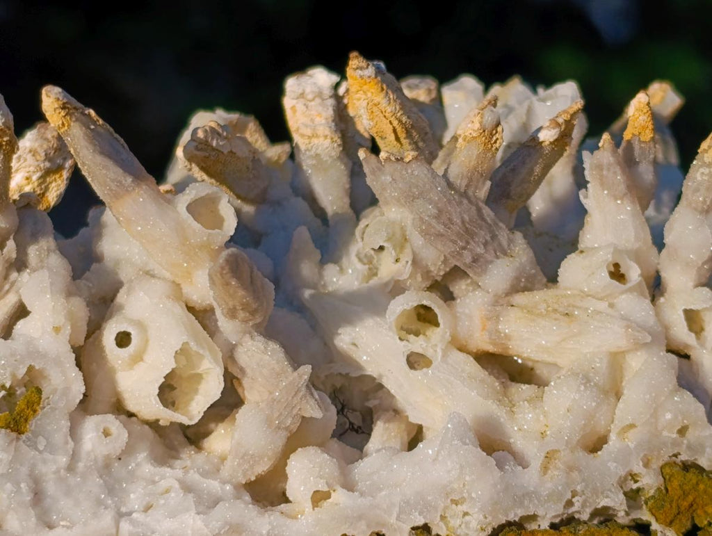 Natural Large Drusy Quartz Coated Spearhead Calcite Pseudomorph Cluster x 1 From Lesotho - Toprock Gemstones and Minerals 