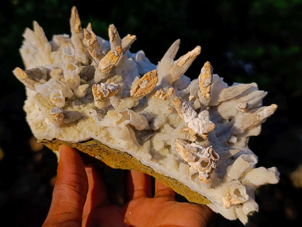 Natural Large Drusy Quartz Coated Spearhead Calcite Pseudomorph Cluster x 1 From Lesotho - Toprock Gemstones and Minerals 