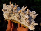 Natural Large Drusy Quartz Coated Spearhead Calcite Pseudomorph Cluster x 1 From Lesotho - Toprock Gemstones and Minerals 
