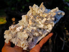Natural Large Drusy Quartz Coated Spearhead Calcite Pseudomorph Cluster x 1 From Lesotho - Toprock Gemstones and Minerals 
