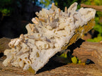 Natural Large Drusy Quartz Coated Spearhead Calcite Pseudomorph Cluster x 1 From Lesotho - Toprock Gemstones and Minerals 