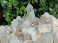 Natural XL Malagasy Quartz Cluster x 1 From Madagascar - Toprock Gemstones and Minerals 