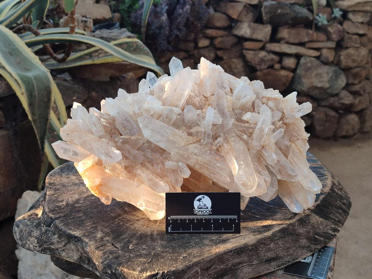 Natural XL Malagasy Quartz Cluster x 1 From Madagascar - Toprock Gemstones and Minerals 
