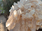 Natural XL Malagasy Quartz Cluster x 1 From Madagascar - Toprock Gemstones and Minerals 