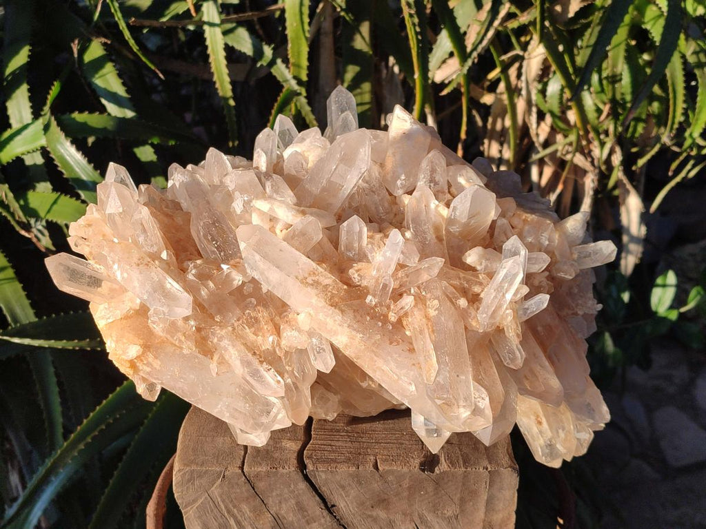 Natural XL Malagasy Quartz Cluster x 1 From Madagascar - Toprock Gemstones and Minerals 