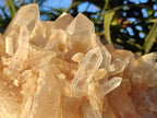 Natural XL Malagasy Quartz Cluster x 1 From Madagascar - Toprock Gemstones and Minerals 