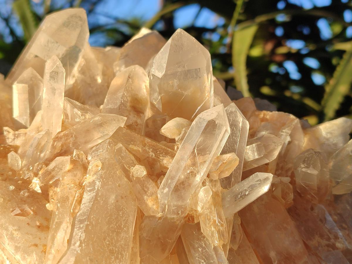 Natural XL Malagasy Quartz Cluster x 1 From Madagascar - Toprock Gemstones and Minerals 