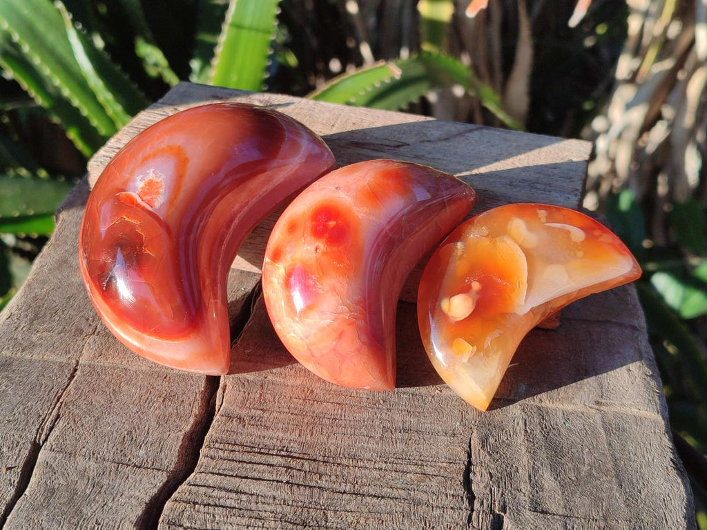 Polished Carnelian Gemstone Crescent Moons x 12 From Madagascar - Toprock Gemstones and Minerals 