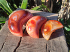 Polished Carnelian Gemstone Crescent Moons x 12 From Madagascar - Toprock Gemstones and Minerals 
