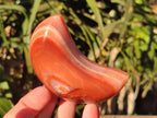 Polished Carnelian Gemstone Crescent Moons x 12 From Madagascar - Toprock Gemstones and Minerals 
