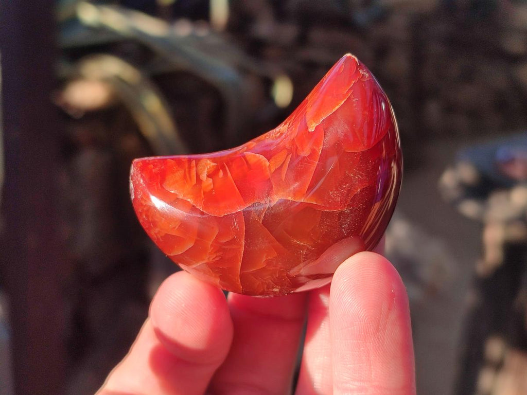 Polished Carnelian Gemstone Crescent Moons x 12 From Madagascar - Toprock Gemstones and Minerals 