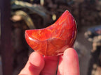 Polished Carnelian Gemstone Crescent Moons x 12 From Madagascar - Toprock Gemstones and Minerals 
