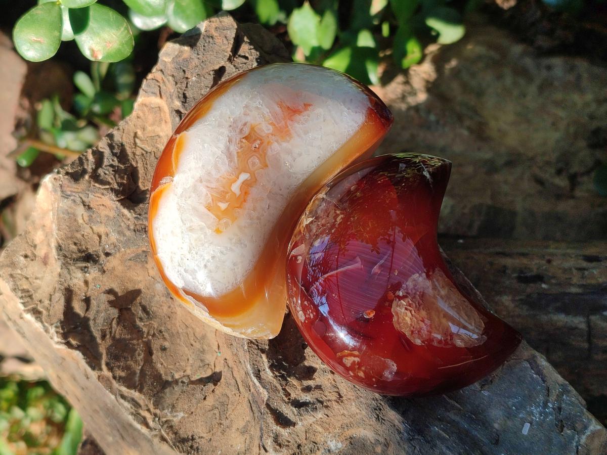 Polished Carnelian Gemstone Crescent Moons x 12 From Madagascar - Toprock Gemstones and Minerals 