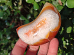 Polished Carnelian Gemstone Crescent Moons x 12 From Madagascar - Toprock Gemstones and Minerals 
