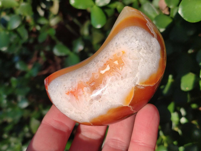 Polished Carnelian Gemstone Crescent Moons x 12 From Madagascar - Toprock Gemstones and Minerals 