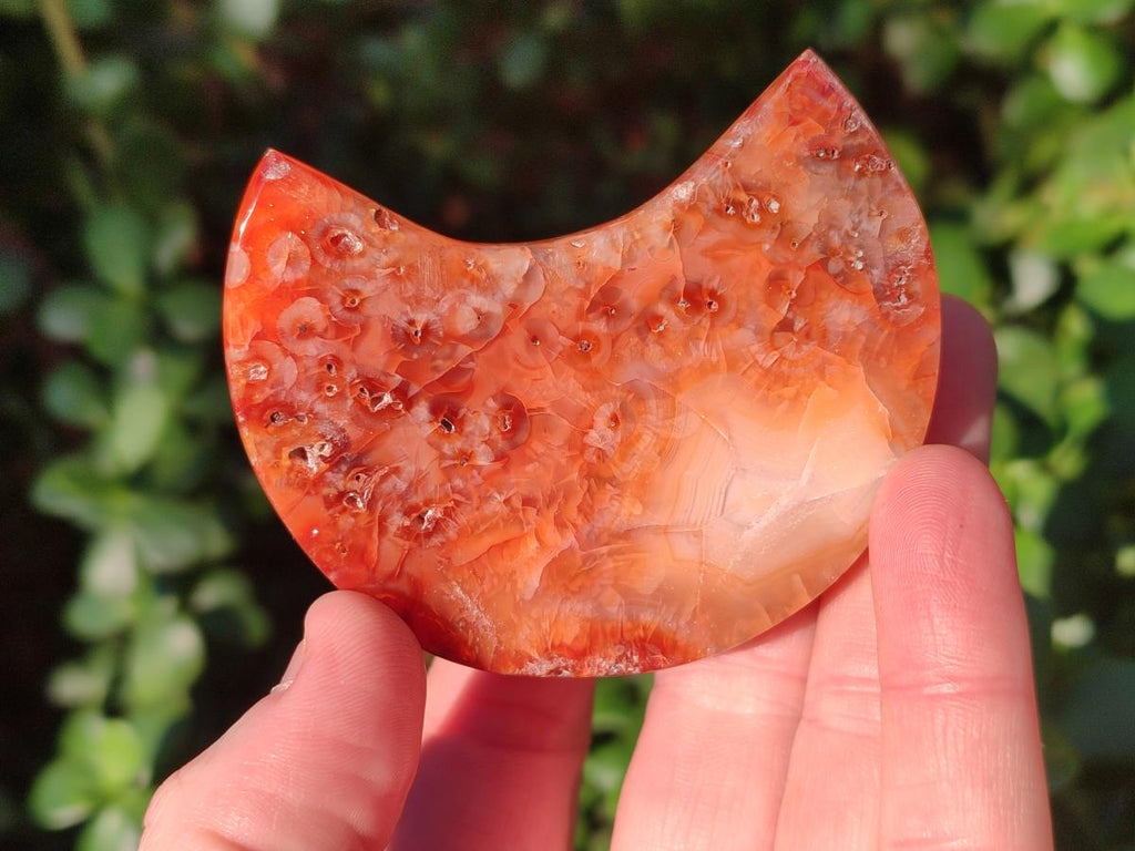 Polished Carnelian Gemstone Crescent Moons x 12 From Madagascar - Toprock Gemstones and Minerals 