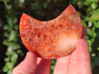 Polished Carnelian Gemstone Crescent Moons x 12 From Madagascar - Toprock Gemstones and Minerals 