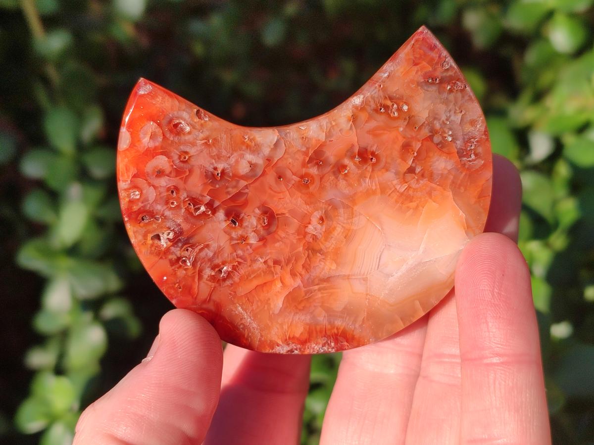 Polished Carnelian Gemstone Crescent Moons x 12 From Madagascar - Toprock Gemstones and Minerals 