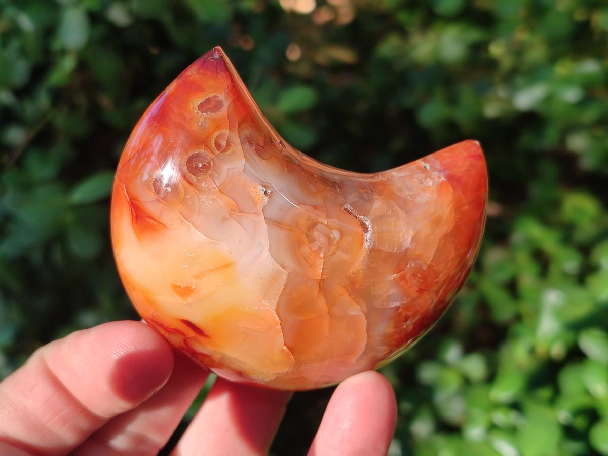 Polished Carnelian Gemstone Crescent Moons x 12 From Madagascar - Toprock Gemstones and Minerals 