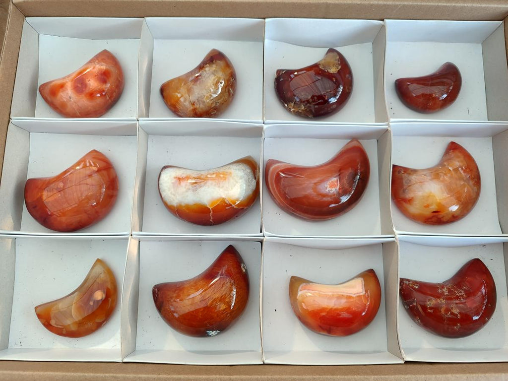 Polished Carnelian Gemstone Crescent Moons x 12 From Madagascar - Toprock Gemstones and Minerals 
