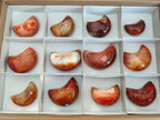 Polished Carnelian Gemstone Crescent Moons x 12 From Madagascar - Toprock Gemstones and Minerals 