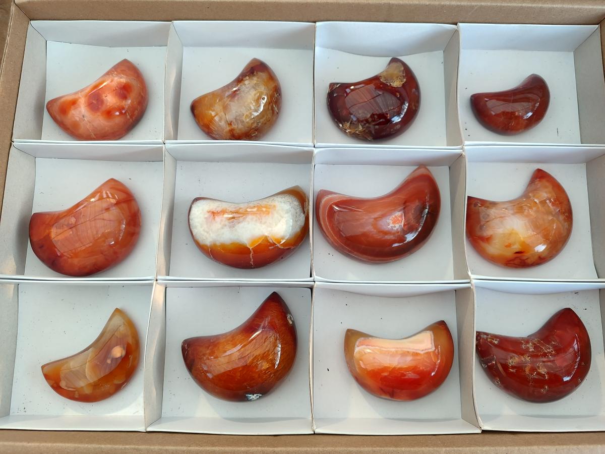 Polished Carnelian Gemstone Crescent Moons x 12 From Madagascar - Toprock Gemstones and Minerals 