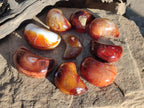 Polished Carnelian Gemstone Crescent Moons x 12 From Madagascar - Toprock Gemstones and Minerals 