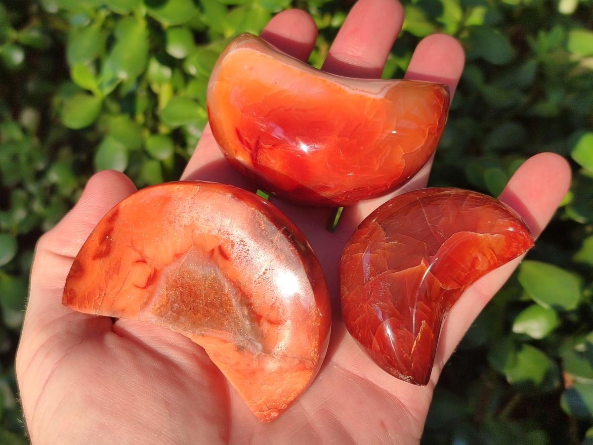 Polished Carnelian Gemstone Crescent Moons x 12 From Madagascar - Toprock Gemstones and Minerals 