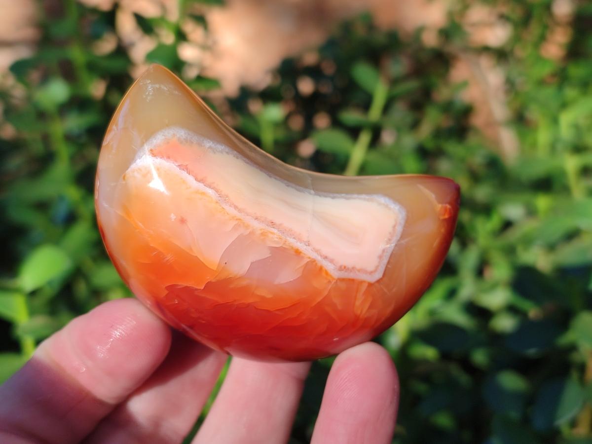 Polished Carnelian Gemstone Crescent Moons x 12 From Madagascar - Toprock Gemstones and Minerals 