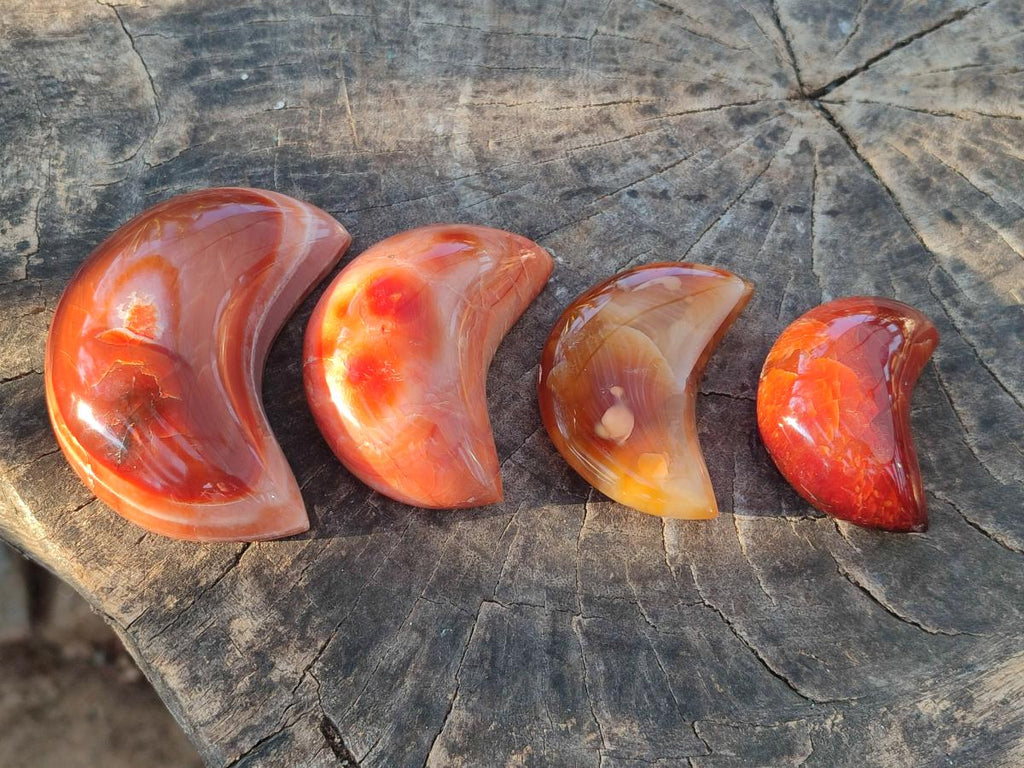 Polished Carnelian Gemstone Crescent Moons x 12 From Madagascar - Toprock Gemstones and Minerals 